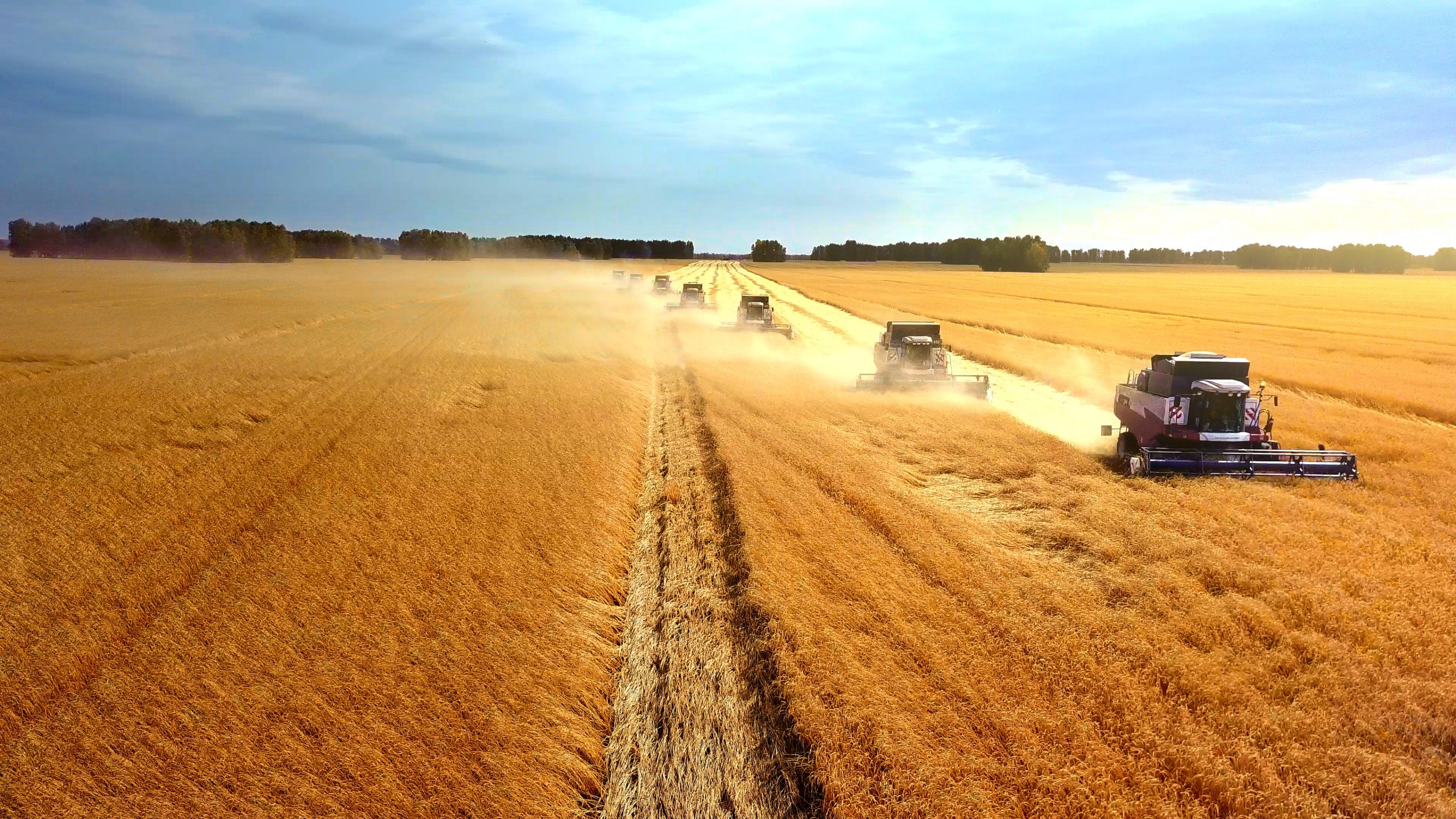 Seven harvesting machines in a diagonal row working in the field